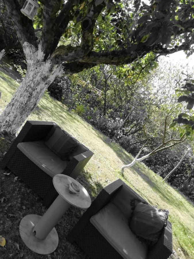 Escapade Champetre Bed and Breakfast Hauteville-sur-Fier Εξωτερικό φωτογραφία