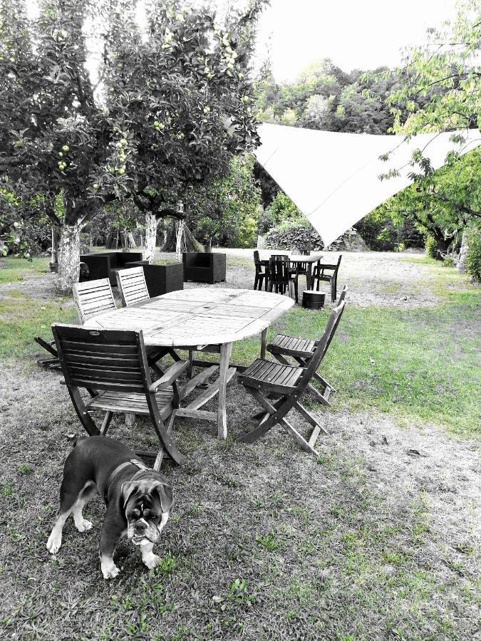 Escapade Champetre Bed and Breakfast Hauteville-sur-Fier Εξωτερικό φωτογραφία